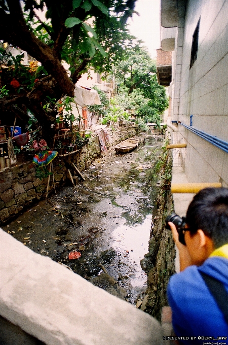 Water street flower town