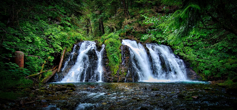 Water nature forest waterfall