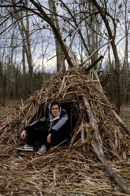 Człowiek drzewo natura na wolnym powietrzu