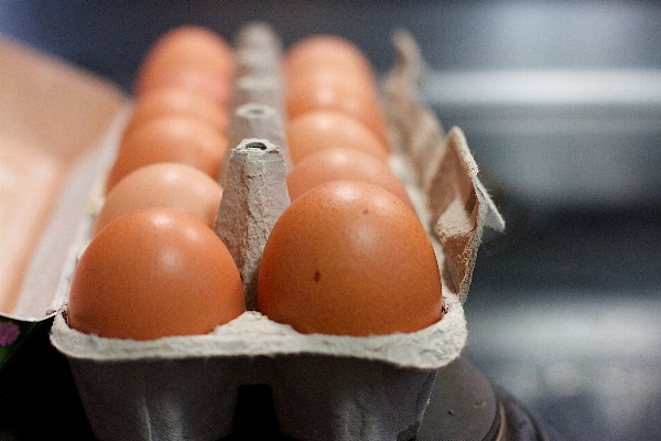 Hand food egg close up Photo