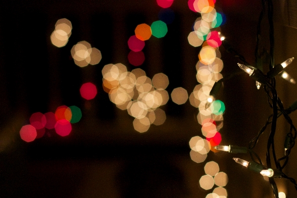 Light bokeh flower petal Photo