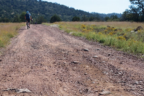 Track road trail field Photo