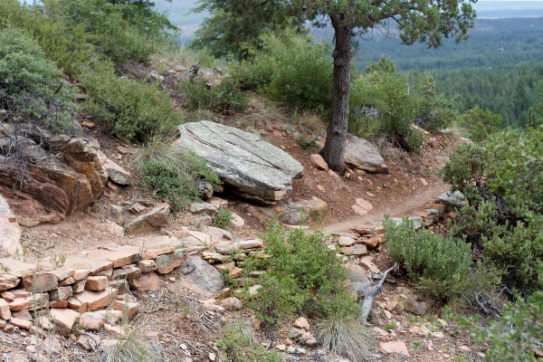 Rock wilderness walking trail Photo