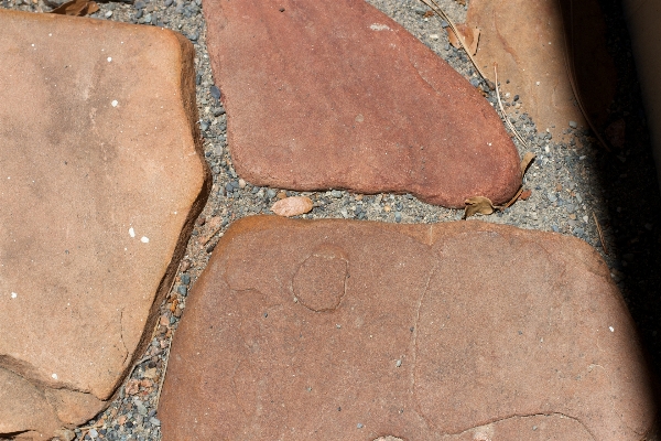 Rock wood floor soil Photo