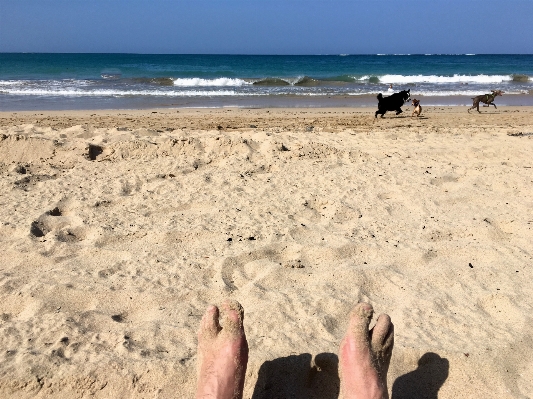 Beach sea coast sand Photo