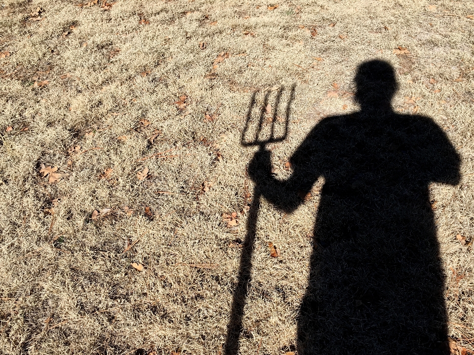 Shadow soil temple image