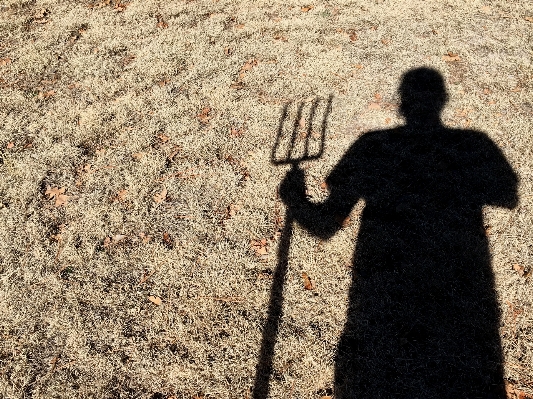 Shadow soil temple image Photo