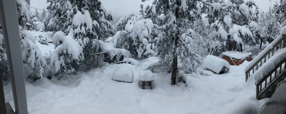 Foto Nevicare inverno panorama tempo atmosferico