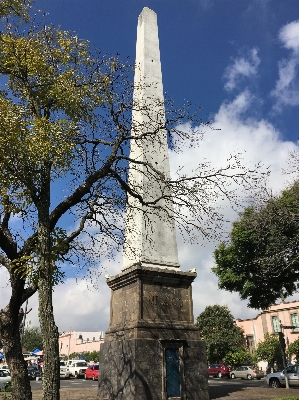 Foto Pohon monumen patung menara