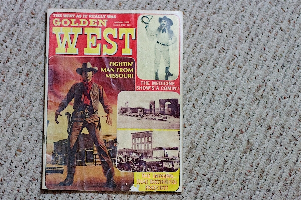 Toy fiction poster western106 Photo