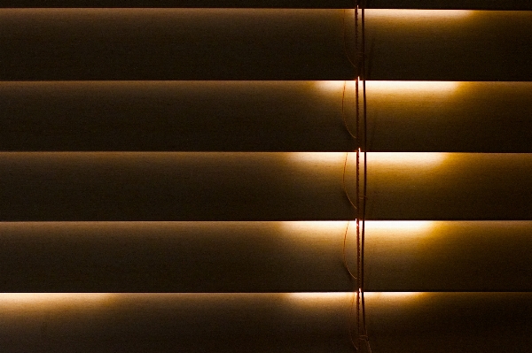 Light wood sunlight wall Photo