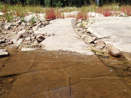 Rock wall walkway pond Photo