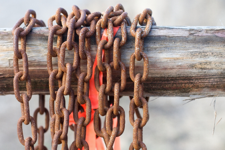 Hand driftwood wood chain