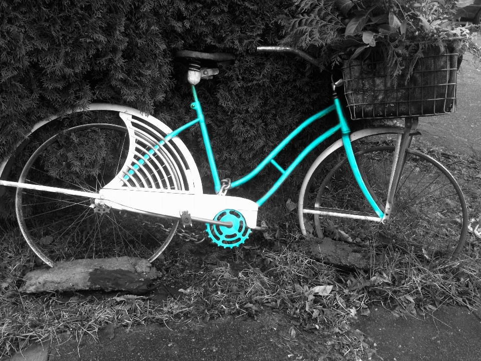 Noir et blanc
 roue vélo véhicule