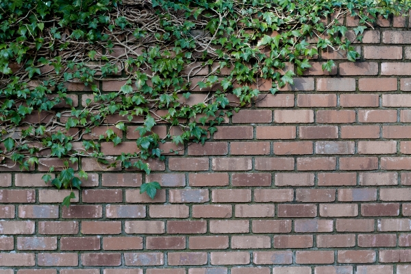 Grass cobblestone wall asphalt Photo