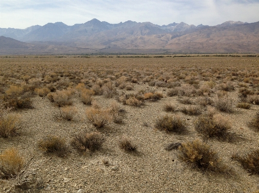 Landscape sand wilderness field Photo