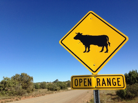 Open road highway advertising Photo