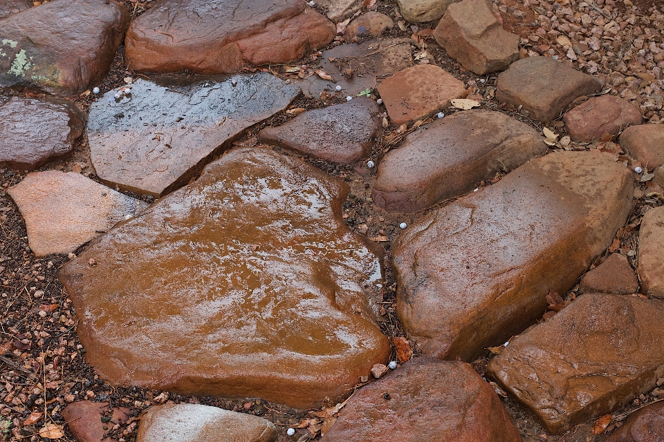 Rock madeira chuva comida