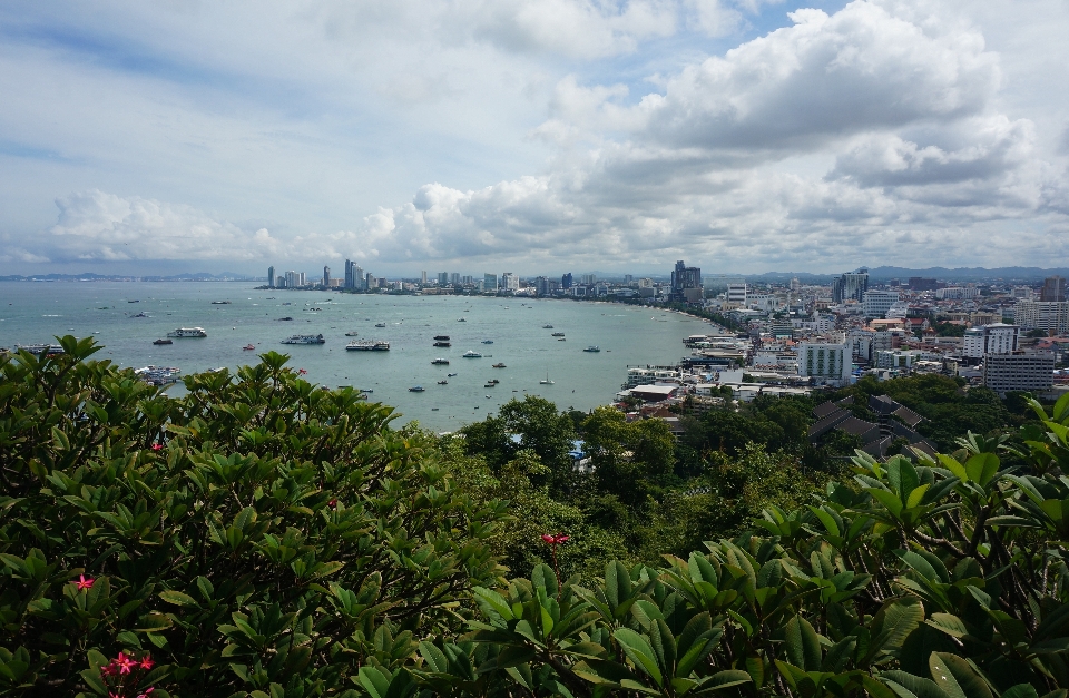 海滩 景观 海 海岸