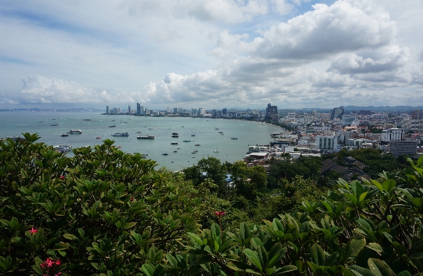 ビーチ 風景 海 海岸 写真