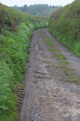 Track road trail dirt Photo