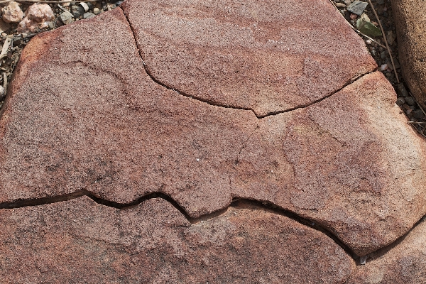 Rock wood leaf wall Photo