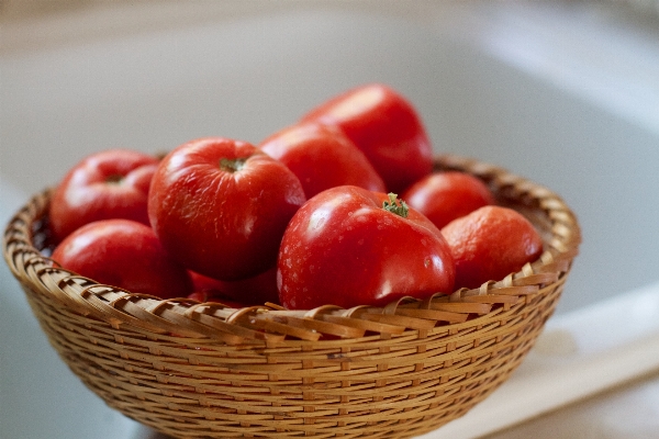 Plant fruit meal food Photo