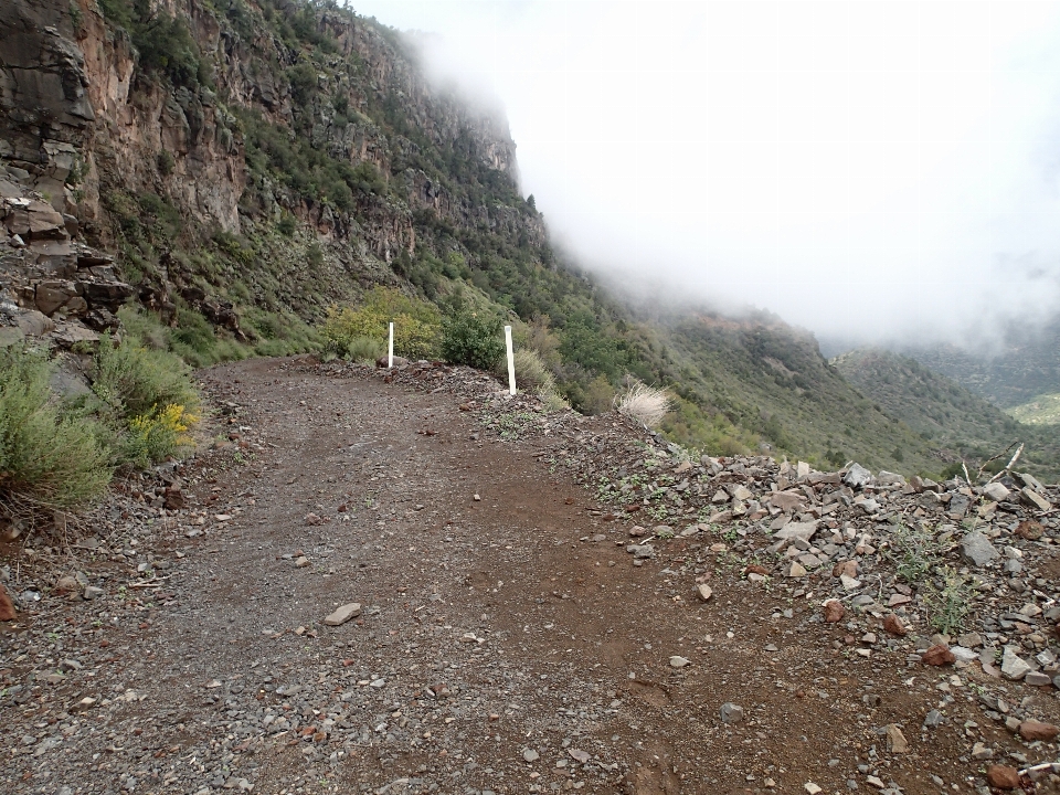 Sedang berjalan gunung jalan jejak