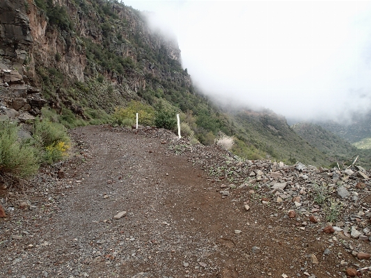 Foto A piedi montagna strada sentiero