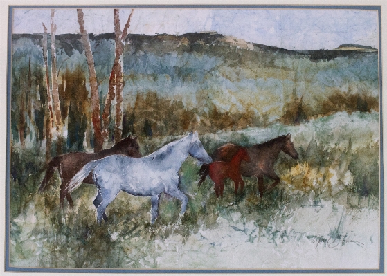 Photo Cheval étalon peinture esquisser