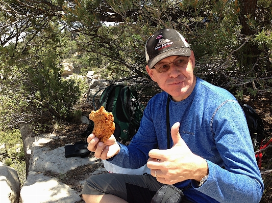 Tree rock plant adventure Photo