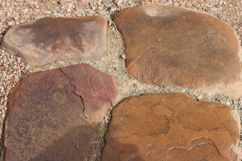 Rock holz regen boden