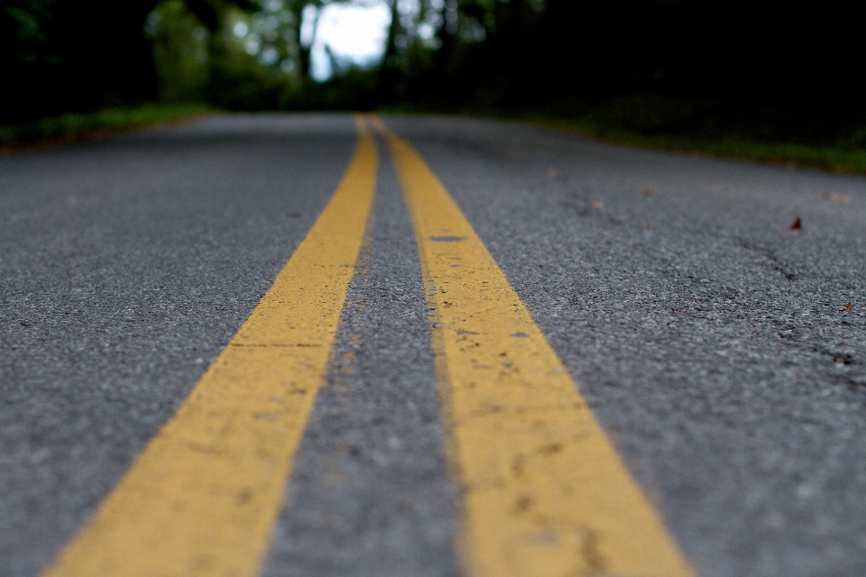 道 歩道
 アスファルト
 ライン