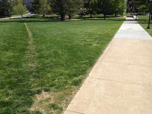 Grass lawn sidewalk asphalt Photo