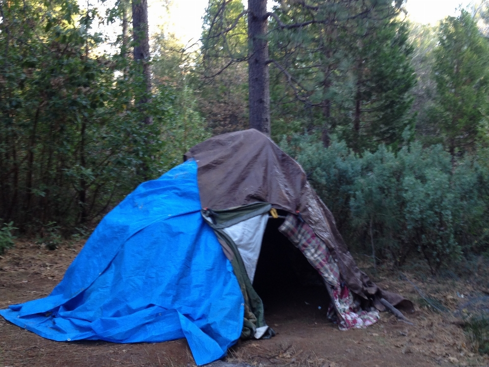 Wilderness camping tent