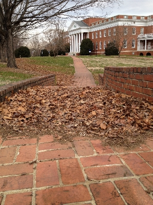 Lawn cobblestone wall walkway Photo