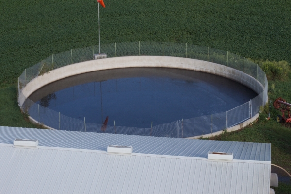 Structure swimming pool stadium baseball field Photo