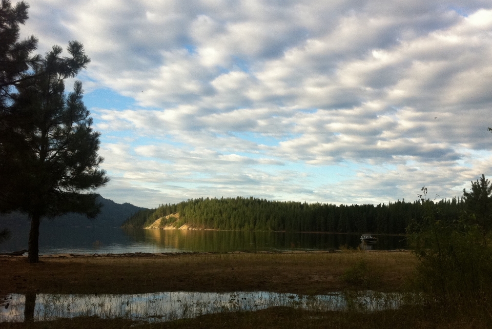 Krajobraz drzewo natura chmura