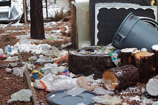 Foto Musim dingin sampah limbah 2010365