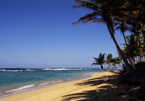 Beach sea coast sand Photo