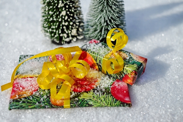 Plant fruit gift food Photo