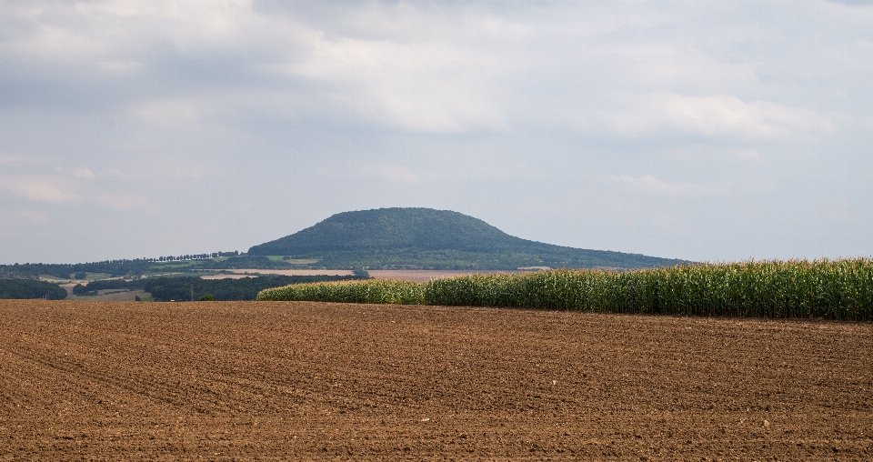 Paesaggio erba orizzonte montagna