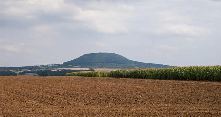 Landscape grass horizon mountain Photo