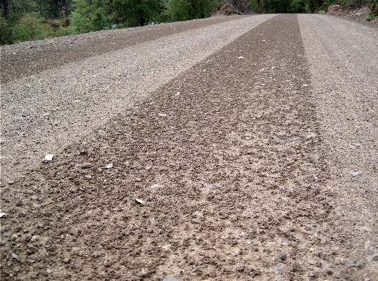 Road sidewalk floor cobblestone Photo