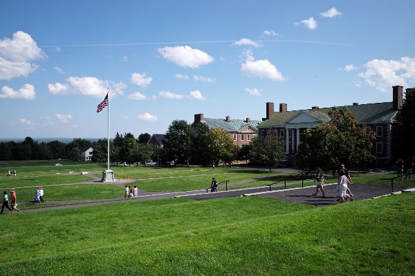 Grass structure lawn hill Photo