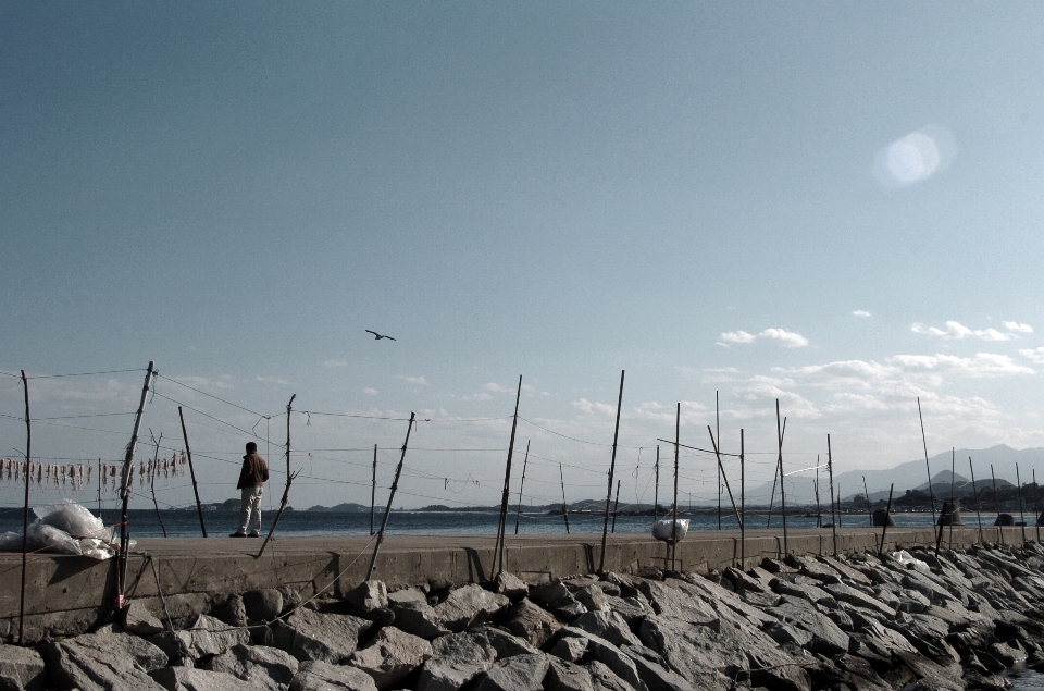 ビーチ 海 海岸 海洋