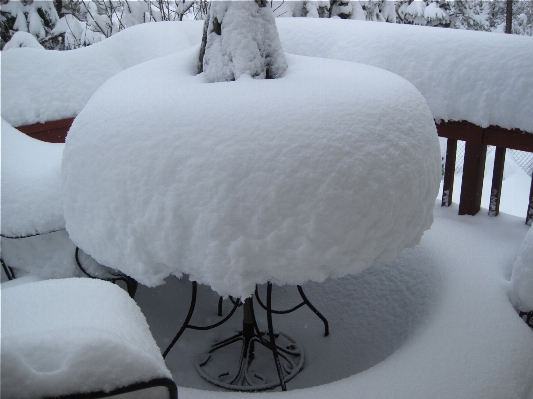 雪 冬 白 天気 写真