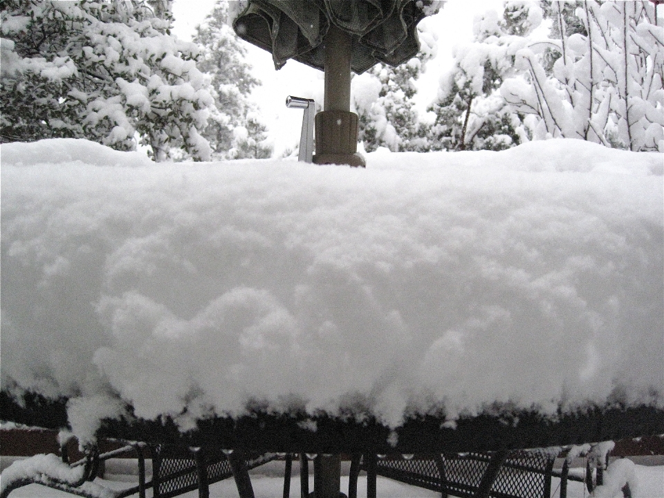 Nevicare inverno tempo atmosferico stagione