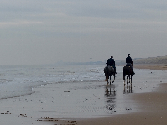 Beach sea coast water Photo