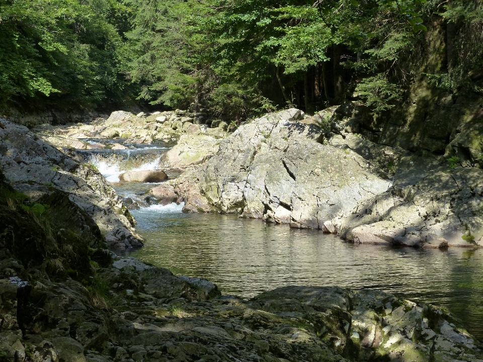 Foresta rock natura selvaggia
 escursionismo
